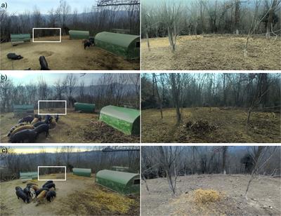 Balancing welfare and habitat damage in pigs (Sus scrofa) under extensive farming: an ethological approach for determining the effects of group composition and environmental enrichment